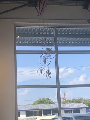 The Backspace by null