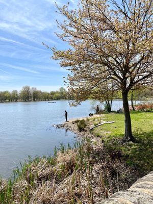 FDR Park by null