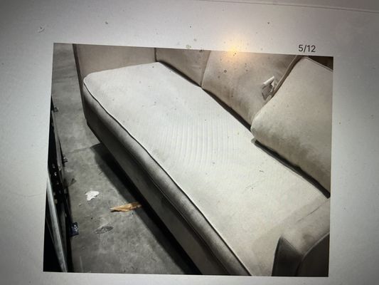 Amazing Carpet & Upholstery Cleaning