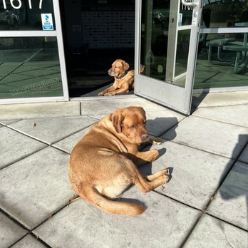 Richards Performance Muffler - Their greeters. - Auto Repair Near Me - Oceanside, California