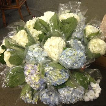 Bud Stop Florist - Florists Near Me - Miami, Florida Bud Stop Florist - Florists Near Me - Miami, Florida