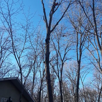 Mills Tree Service - Servicing Northwest Arkansas and the Surrounding Areas. Call us for a FREE Quote at (479) 340-6305. - Tree Services Near Me