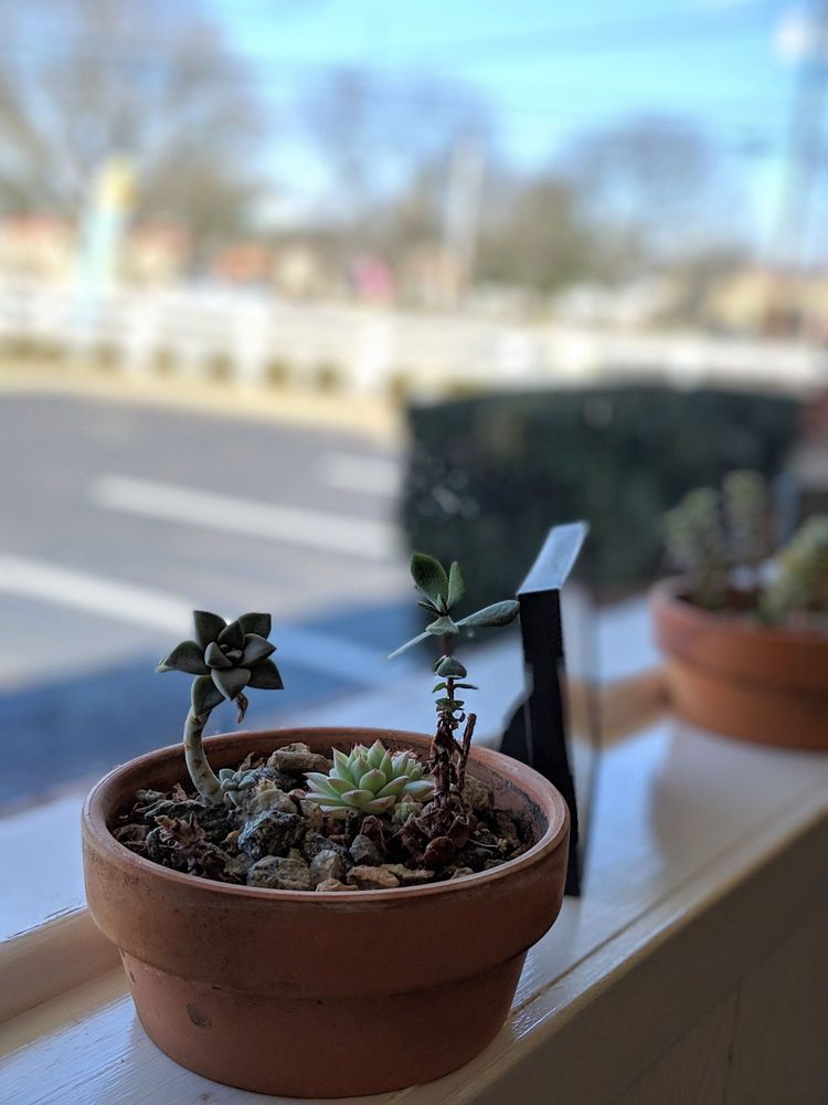 BROOKWOOD CAFE 83 Photos & 88 Reviews 3133 Quakerbridge Rd, Hamilton Township, NJ Yelp