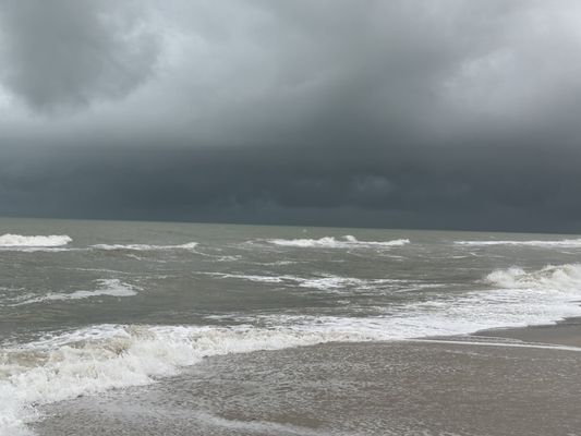 Delnor-Wiggins Pass State Park by null