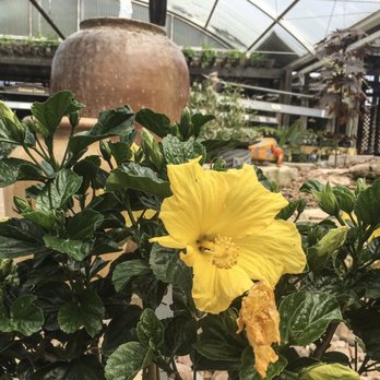 Martha's Bloomers - Flowers - Nurseries & Gardening Near Me - Navasota, Texas