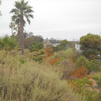 The River Trail - Hiking Near Me - Del Mar, California The River Trail - Hiking Near Me - Del Mar, California