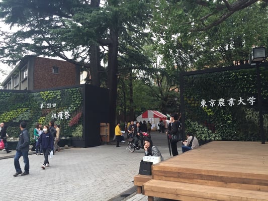 Tokyo University of Agriculture by null