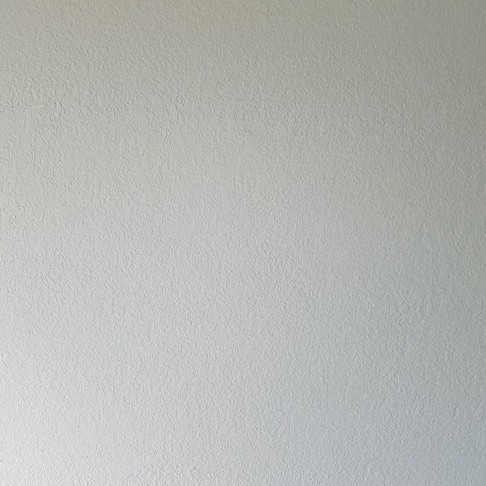 Here's a boring picture of our newly painted retextured wall. Damon's crew did a great job matching the texture. Here's a boring picture of our newly painted retextured wall. Damon's crew did a great job matching the texture.