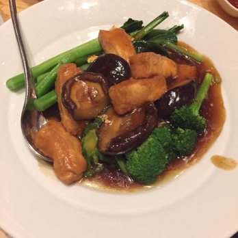 Red 8 - Tofu with vegetables and mushrooms - Dim Sum Near Me - Las Vegas, Nevada Red 8 - Tofu with vegetables and mushrooms - Dim Sum Near Me - Las Vegas, Nevada