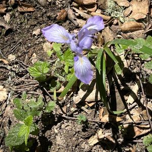 Huddart County Park on Yelp