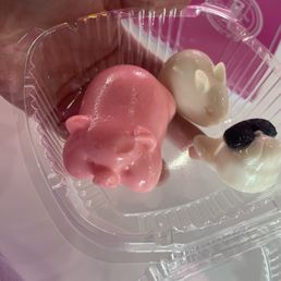 Jello Jello