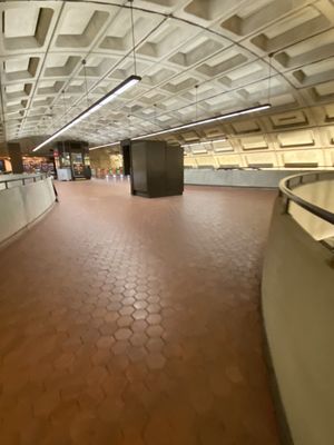 DuPont Circle by null