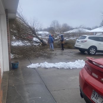 Vizueth Tree Services - Tree trimmers - Tree Services Near Me