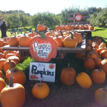 Blackman Homestead Farm - Pumpkins and more! - Farmers Market Near Me - Lockport, New York Blackman Homestead Farm - Pumpkins and more! - Farmers Market Near Me - Lockport, New York