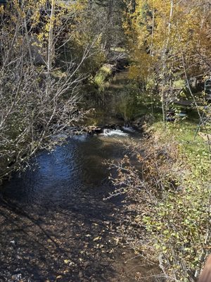 Bucksnort Saloon by null