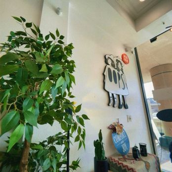 Oops Boba Tea & Coffee - Inside - Bubble Tea Near Me - Arcadia, California Oops Boba Tea & Coffee - Inside - Bubble Tea Near Me - Arcadia, California
