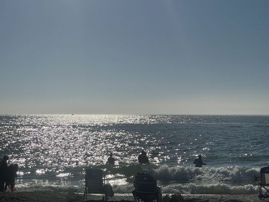 Gasparilla Island State Park by null