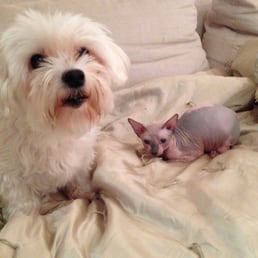 Best buddies Best buddies
