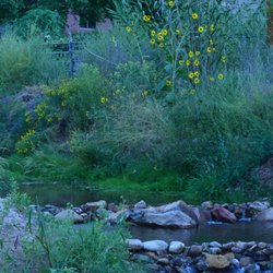 A Creekside Retreat - Creek that you see just as the road dips - at the end of our driveway