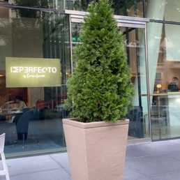 Exterior outside entrance of Imperfecto - Imperfecto restaurant entrance - Washington, DC, District of Columbia Exterior outside entrance of Imperfecto - Imperfecto restaurant entrance - Washington, DC, District of Columbia