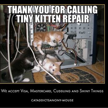 NerdsToGo - Bellevue - Sadly, this isn't an option...but NerdsToGo sure is and needs to be your only choice! - IT Services & Computer Repair Near Me - Bellevue, Washington NerdsToGo - Bellevue - Sadly, this isn't an option...but NerdsToGo sure is and needs to be your only choice! - IT Services & Computer Repair Near Me - Bellevue, Washington