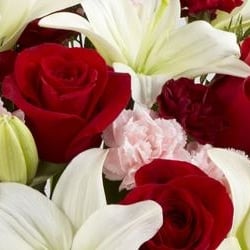 Waterville Florist And Formal Wear