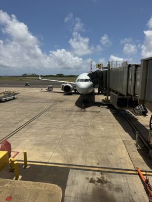 Lihue Airport by null