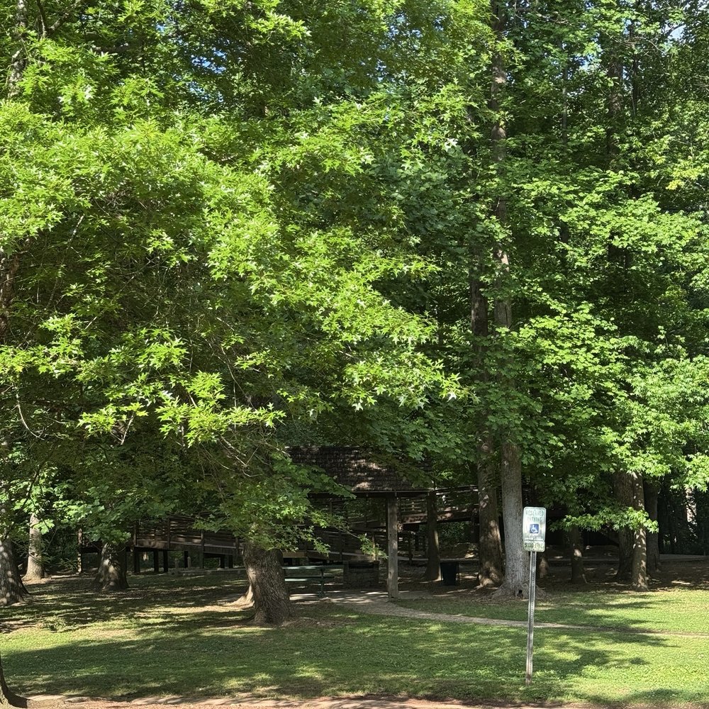 McCallum Park - Forest - Parks Near Me - Vestavia Hills, Alabama McCallum Park - Forest - Parks Near Me - Vestavia Hills, Alabama