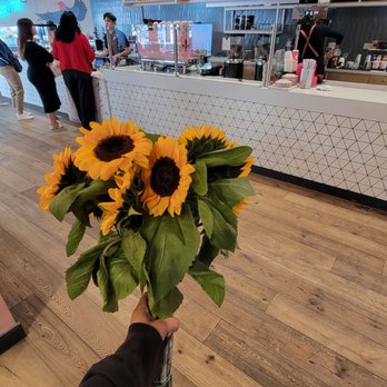 Parakeet Cafe - Little Italy - Background of what it looks like ft. My sunflowers - Breakfast & Brunch Near Me - San Diego, California Parakeet Cafe - Little Italy - Background of what it looks like ft. My sunflowers - Breakfast & Brunch Near Me - San Diego, California