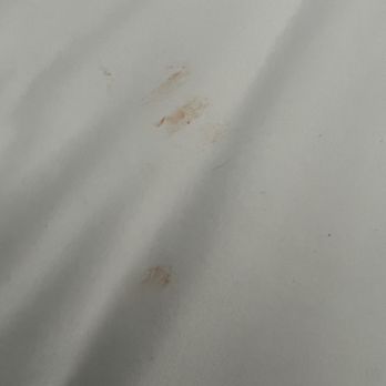 Jeeves Florida Rentals - Orange Cheeto stain on sheets with someone's hair - Vacation Rentals Near Me - Kissimmee, Florida