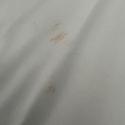 Jeeves Florida Rentals - Orange Cheeto stain on sheets with someone's hair