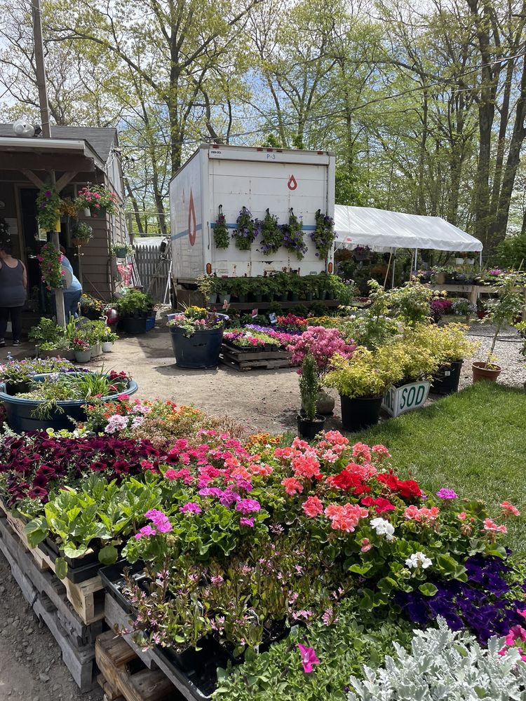 Twin River Nursery - tree service in Smithfield, RI