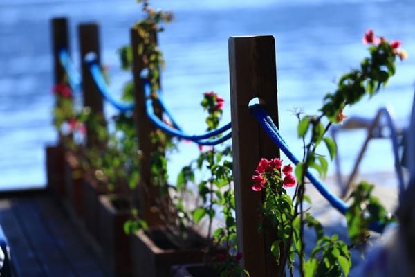 Special Class Hotel in Costa Farilya by null