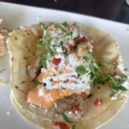 Fist Fish Tacos Fist Fish Tacos