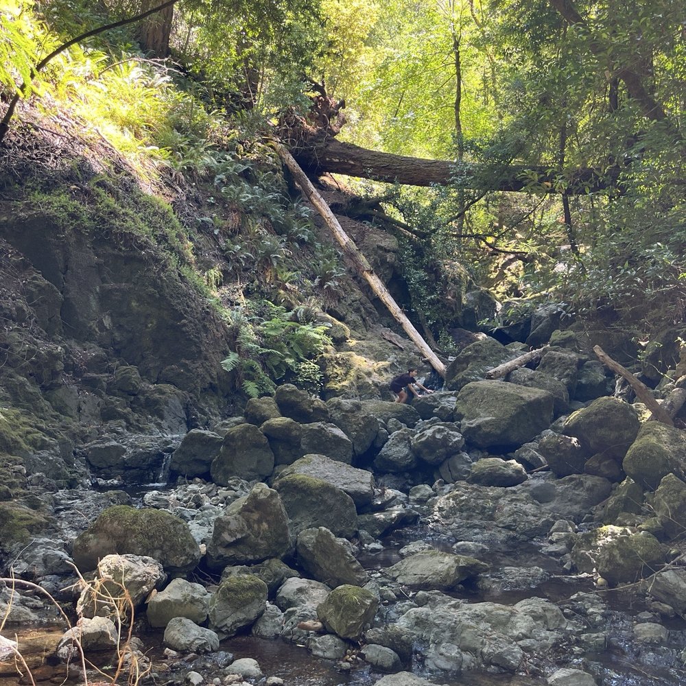 Cataract Falls Trail - Hiking Near Me Cataract Falls Trail - Hiking Near Me