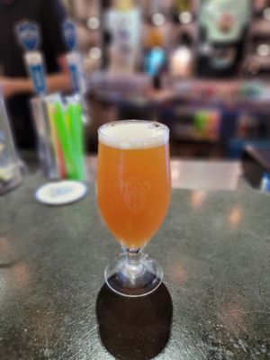 Mike Hess Brewing, North Park by null