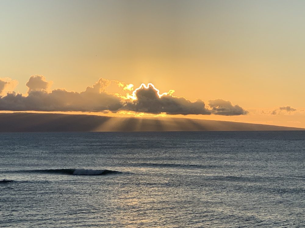 CHASE N’ RAINBOWS 77 Photos & 67 Reviews 118 Kupuohi St, Lahaina, HI Yelp