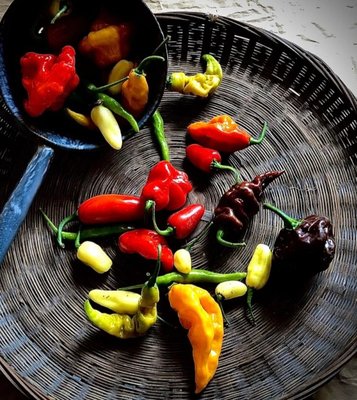 Eckerton Hill Farm by null