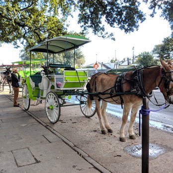 Jackson Square - Waiting along Jackson Square 10/2018 - Parks Near Me - New Orleans, Louisiana Jackson Square - Waiting along Jackson Square 10/2018 - Parks Near Me - New Orleans, Louisiana