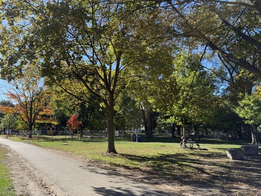Dufferin Grove Park by null