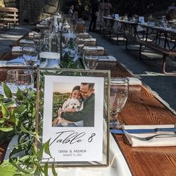 Piedmont Copy & Printing - Table numbers