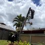 Photo of Hawaiian Style Home & Landscaping