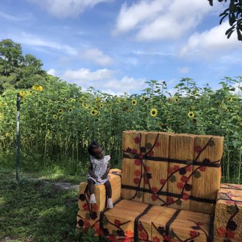 HarvestMoon Fun Farm - Attraction Farms Near Me - Masaryktown, Florida