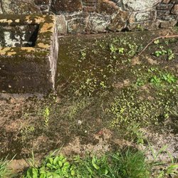 RC bros Pressure washing