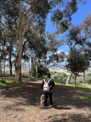 Junípero Serra Museum by null