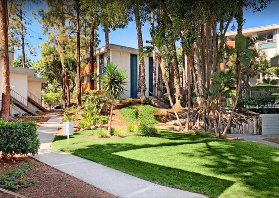 Trolley Palm by null