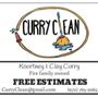 Photo of Curry Clean