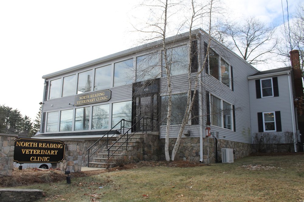 North Reading Veterinary Clinic Image