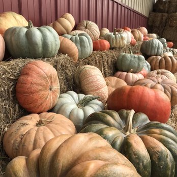 Cider Hill Farm - Pick Your Own Farms Near Me - Amesbury, Massachusetts