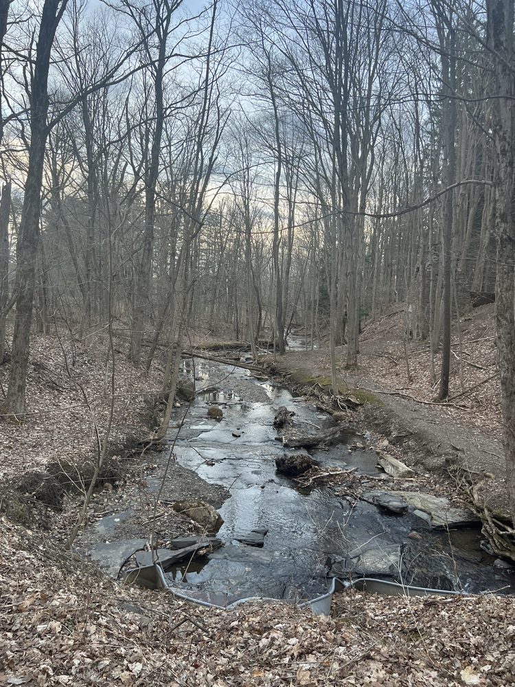 EMERY PARK 13 Photos & 13 Reviews Parks 2084 Emery Rd, South